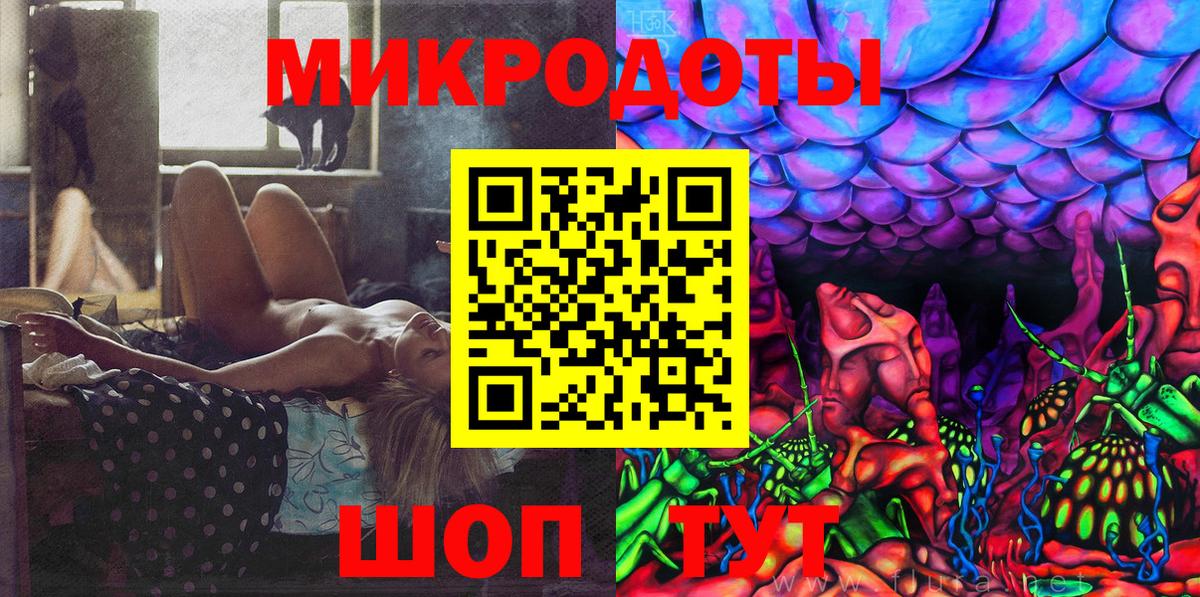 Псилоцибиновые грибы Cubensis Ейск