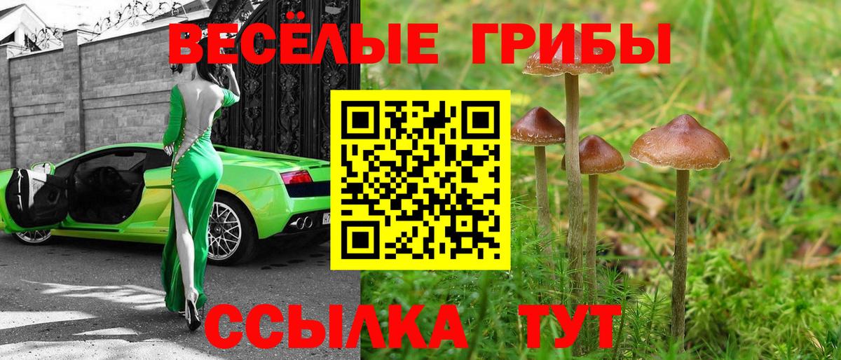 Ейск  Галлюциногенные грибы MAGIC MUSHROOMS  Вход с VPN 
